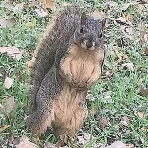 Meet your Posher, Junior